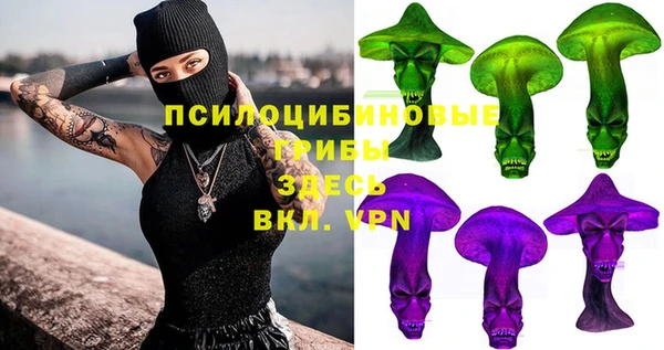 сатива Тобольск