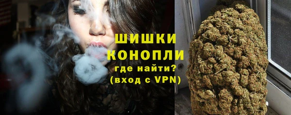 сатива Тобольск
