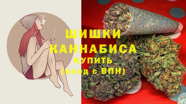 сатива Тобольск